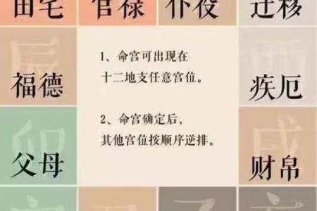 紫薇斗数历史最经典