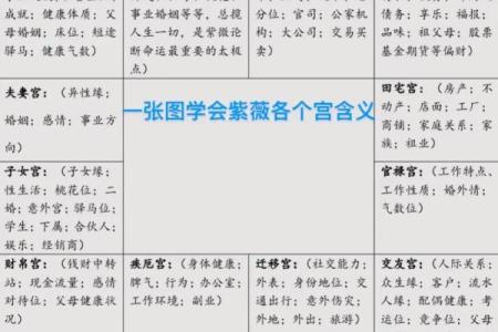 紫微斗数命盘解析：十二宫位