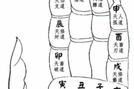 一掌经算命实例