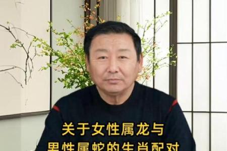 婚姻配对属龙和属蛇姻缘怎么样