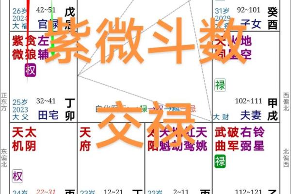 图解紫薇斗数禄忌