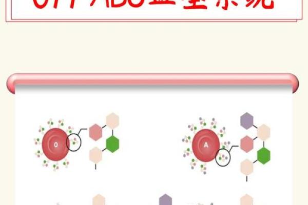 2012各血型的有效学习方法