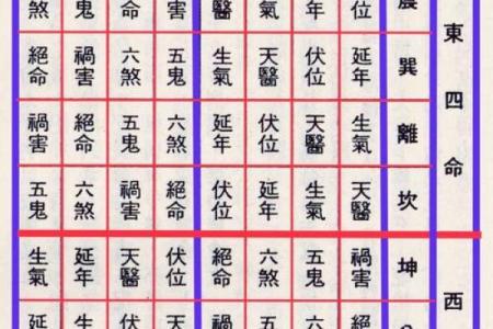 命 运 风水