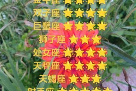 白羊座和金牛座配对指数 白羊座和金牛座配吗