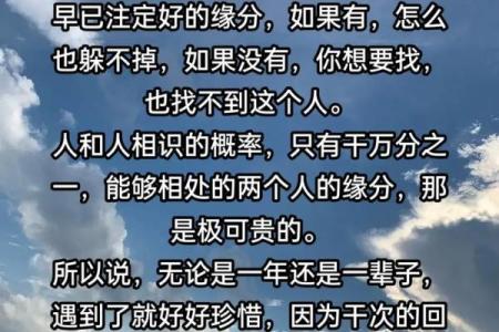 缘分是天注定姓名配对 缘份真的是天注定的-？