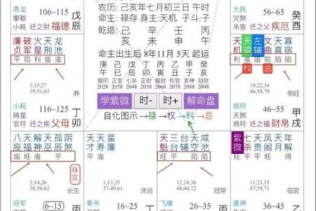流年紫薇斗数空曜