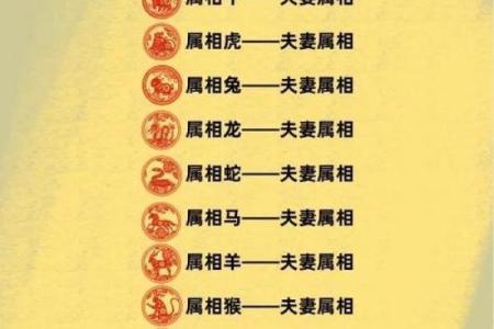 十二生肖不能结婚配对