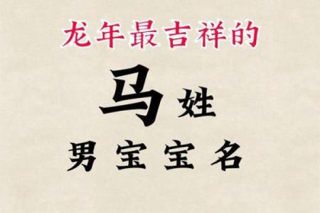 1月份出生的属马男孩起什么名字好姓名