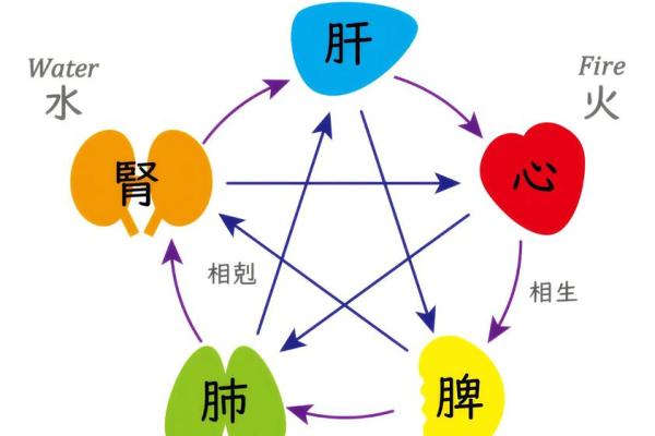 八字多水