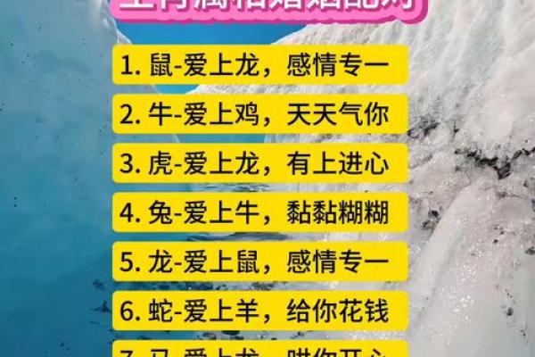 属马女性配对大揭秘：羊男VS狗男，成功婚姻密码在哪？