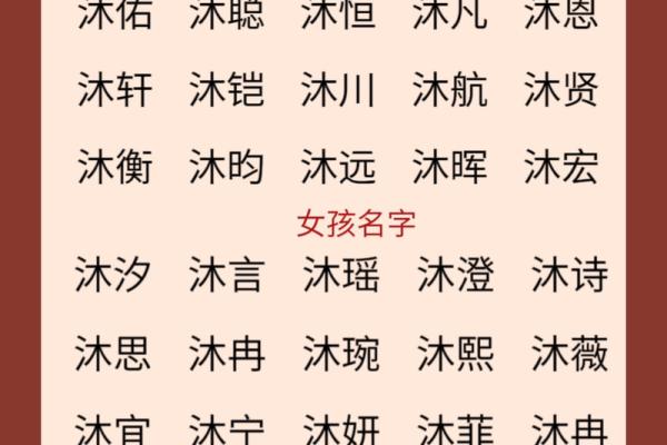 2019年3月20号辛时出生的男孩起名方法姓名