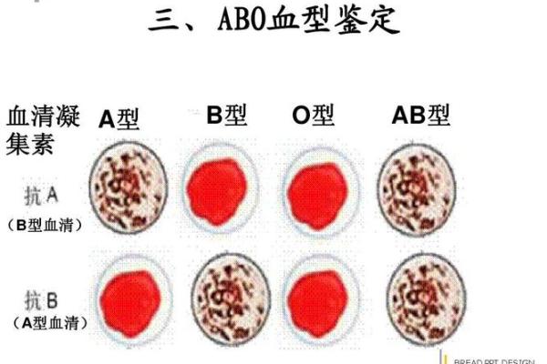 从工作态度判断他的血型
