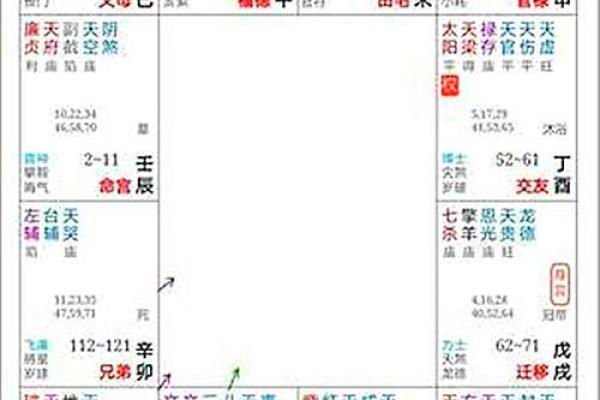 紫薇斗数实战实例