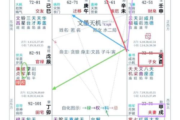紫薇斗数健康