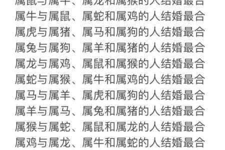 属马女性配对大揭秘：羊男VS狗男，成功婚姻密码在哪？