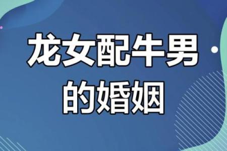 1985属牛的婚姻配对最佳