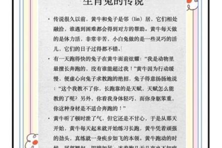 兔和什么属相配对幸福