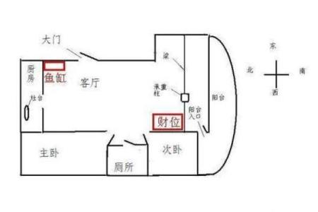 乌龟找财位,乌龟放在哪个方位旺财