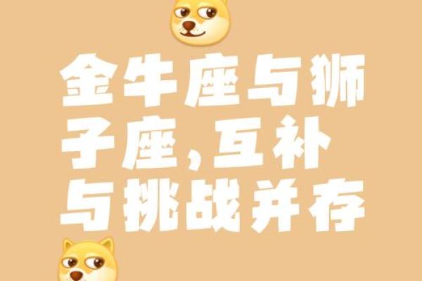 属鸡的狮子座血型分析
