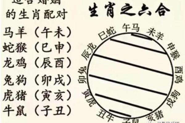 男女八字合婚日期一样