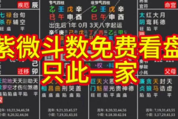 紫薇斗数与看盘