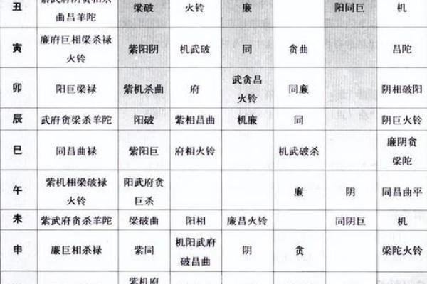 马大夫紫薇斗数