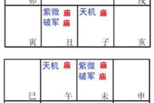 紫薇斗数太阳入命宫