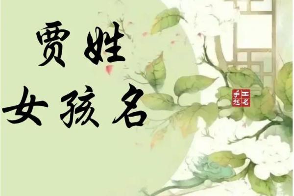 姓贾的名人-姓名学-华易算命网姓名