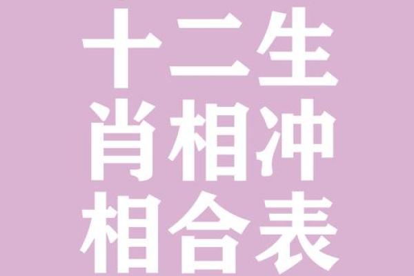 属鼠和什么属相最配对 属鼠和什么属相相冲