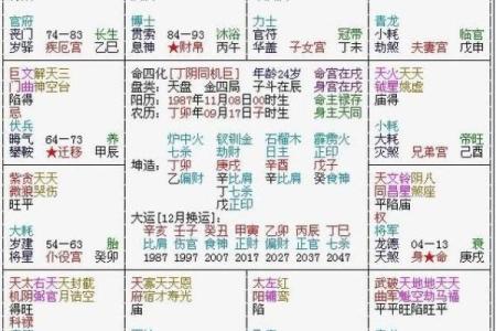马大夫紫薇斗数