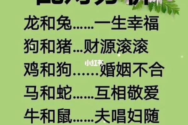 蛇男狗女两生肖相配吗 蛇男狗女配对可行吗