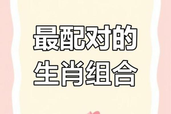 十二生肖属蛇的配对