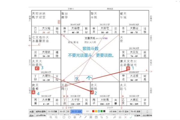 紫薇斗数能看出什么