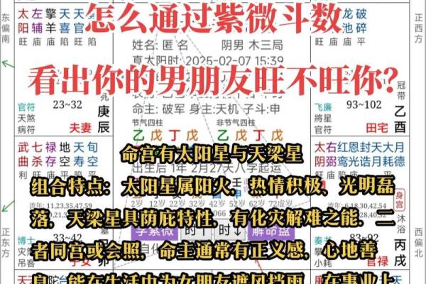 紫薇斗数能看出什么