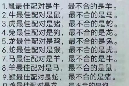 婚姻配对属龙和属猪姻缘怎么样