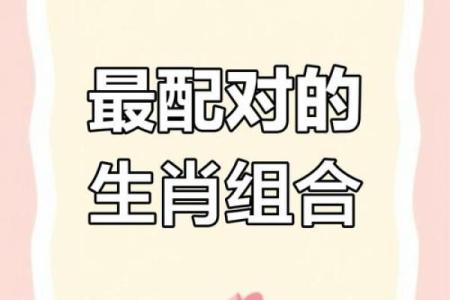 十二生肖属蛇的配对