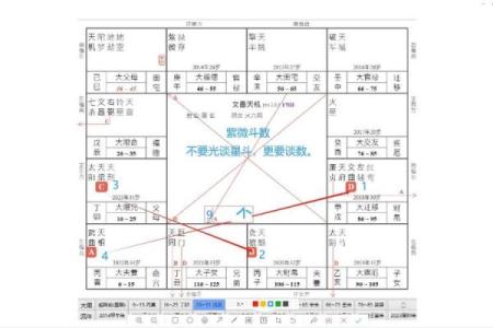 紫薇斗数能看出什么