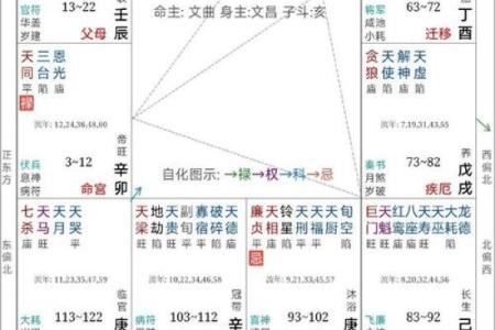 紫薇斗数财帛宫天月