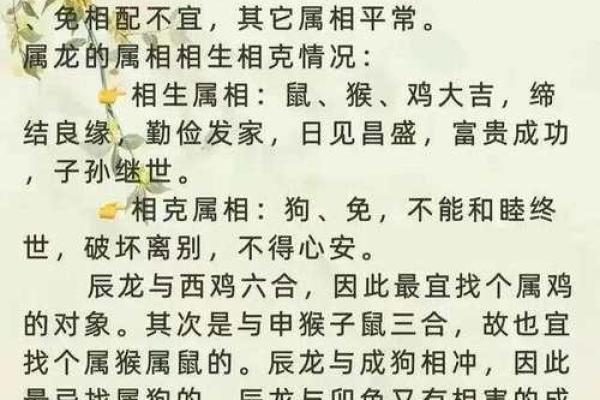 91年属什么生肖配对