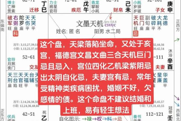 紫薇斗数全面分析的简单介绍
