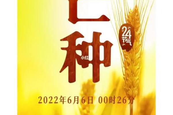 2024年芒种的财神方位在哪？芒种节气的三个物候现象