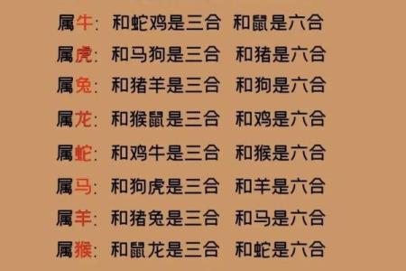 算婚姻合八字生肖虎女和什么生肖蕞配