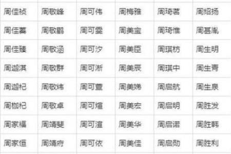 晚上出生的属狗男孩如何取名，应用什么字姓名