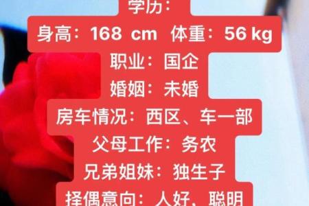 属狗是哪一年出生的 属狗的男孩出生吉日