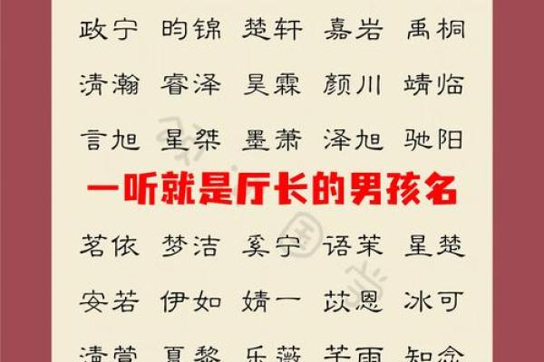 属蛇丑时出生的男孩怎么取名字，宜用什么字姓名