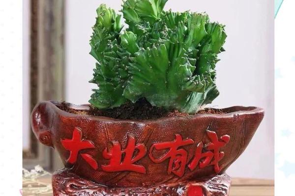 玉麒麟风水风水作用是什么摆放禁忌