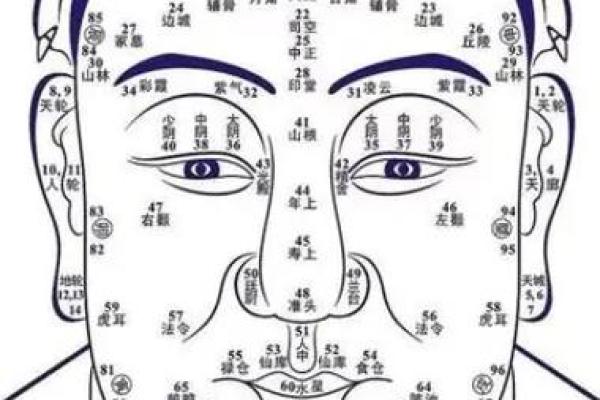 面相解析：额头面相算命图解