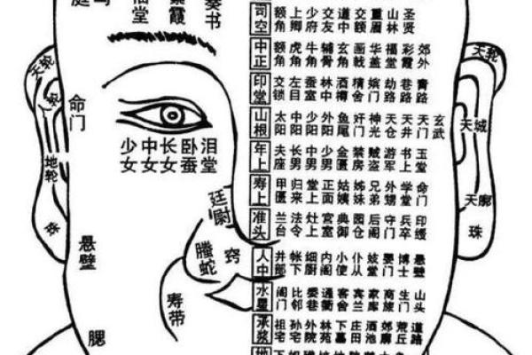 面相解析：额头面相算命图解