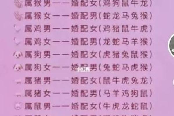 属蛇的男人应该与哪个生肖进行配对