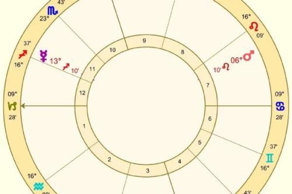 哪个星座容易产生心电感应